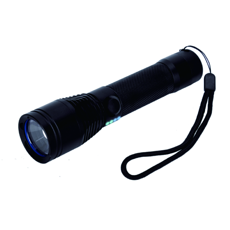 ����Ѳ�z���Ͳ