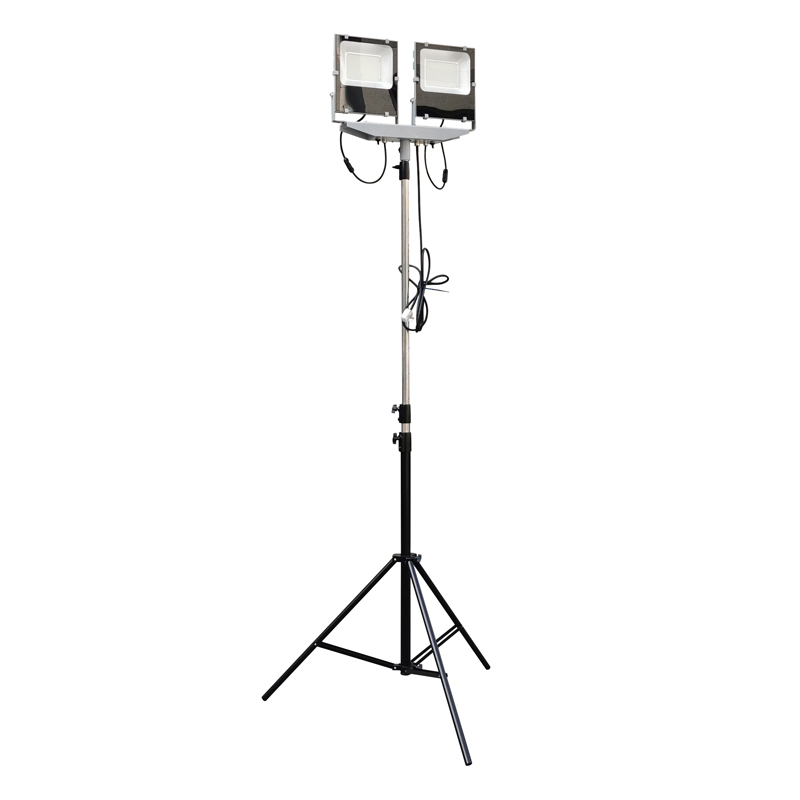 �����������M